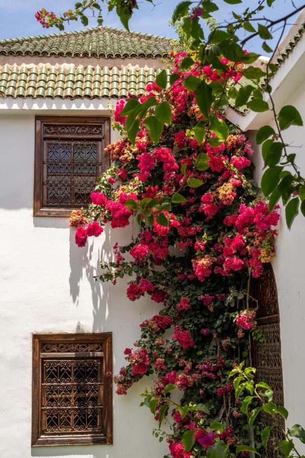 Riad Alma 마라케시 외부 사진