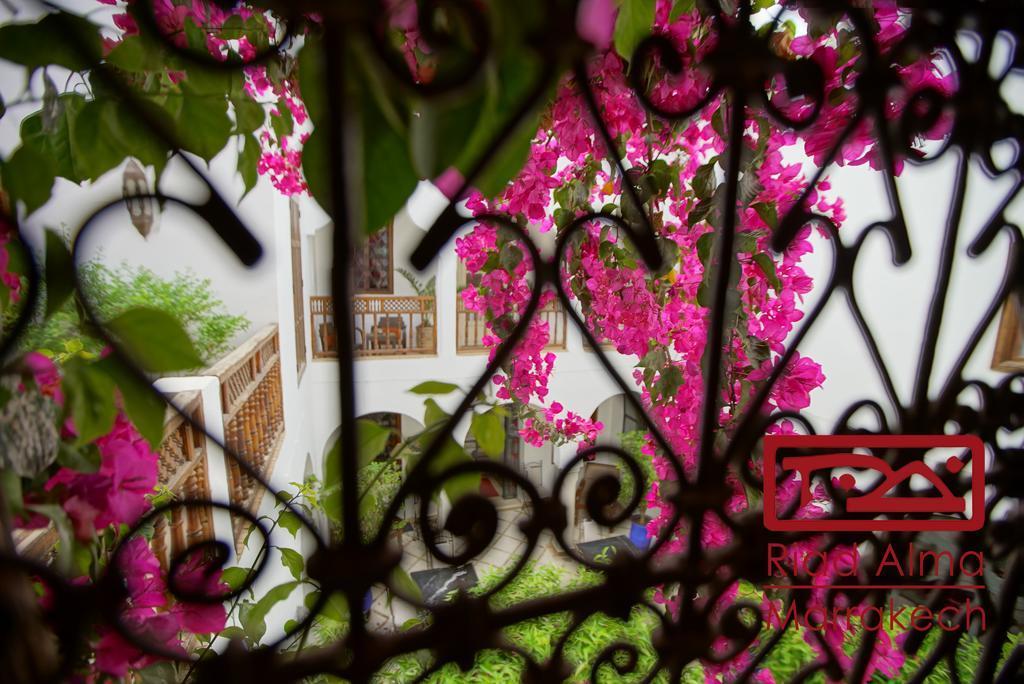 Riad Alma 마라케시 외부 사진